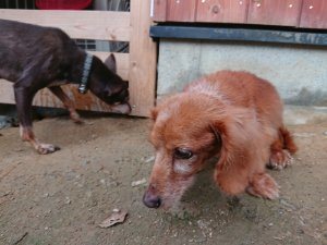 f:id:roukenhome-ann:20181111074808j:plain