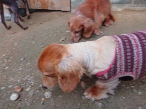 f:id:roukenhome-ann:20181111074816j:plain