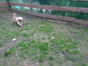 f:id:roukenhome-ann:20181111074838j:plain