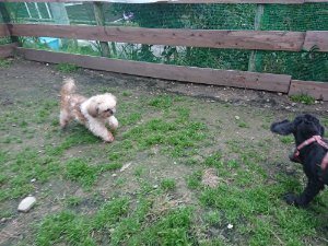 f:id:roukenhome-ann:20181111074842j:plain