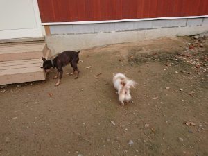 f:id:roukenhome-ann:20181111074859j:plain