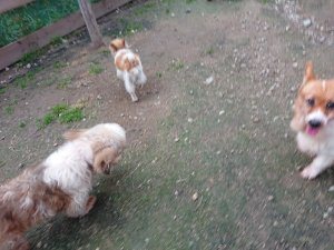 f:id:roukenhome-ann:20181111074907j:plain