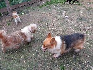 f:id:roukenhome-ann:20181111074910j:plain