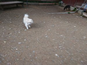 f:id:roukenhome-ann:20181111074914j:plain