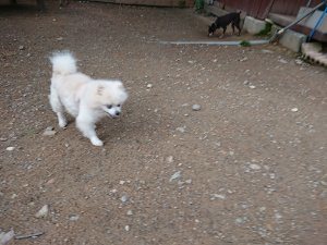 f:id:roukenhome-ann:20181111074918j:plain