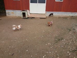 f:id:roukenhome-ann:20181111074921j:plain