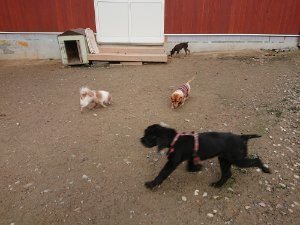f:id:roukenhome-ann:20181111074925j:plain