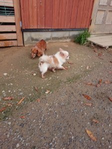 f:id:roukenhome-ann:20181111074929j:plain