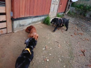 f:id:roukenhome-ann:20181111074933j:plain