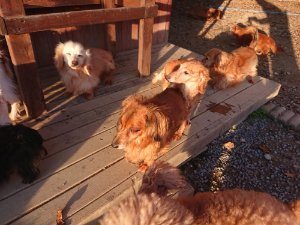 f:id:roukenhome-ann:20181111075912j:plain