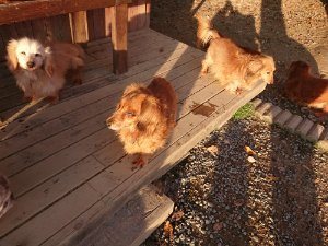 f:id:roukenhome-ann:20181111075932j:plain