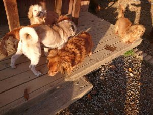 f:id:roukenhome-ann:20181111075936j:plain