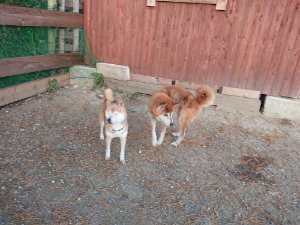 f:id:roukenhome-ann:20181111075947j:plain