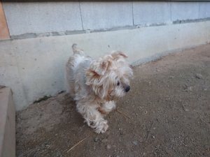 f:id:roukenhome-ann:20181111075954j:plain
