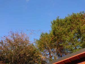 f:id:roukenhome-ann:20181111080759j:plain