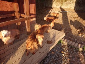 f:id:roukenhome-ann:20181111080810j:plain