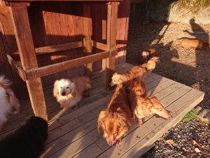 f:id:roukenhome-ann:20181111080813j:plain