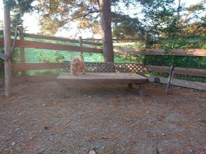 f:id:roukenhome-ann:20181111080825j:plain