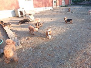f:id:roukenhome-ann:20181111080842j:plain