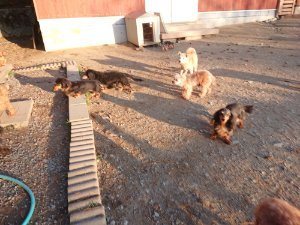 f:id:roukenhome-ann:20181111080846j:plain