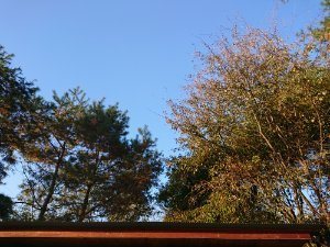f:id:roukenhome-ann:20181111080853j:plain