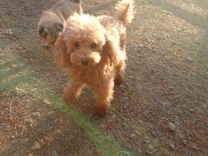 f:id:roukenhome-ann:20181111080856j:plain