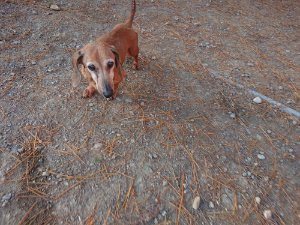 f:id:roukenhome-ann:20181111080911j:plain