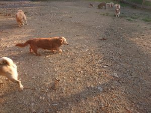 f:id:roukenhome-ann:20181111080916j:plain