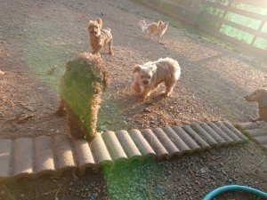 f:id:roukenhome-ann:20181111080927j:plain