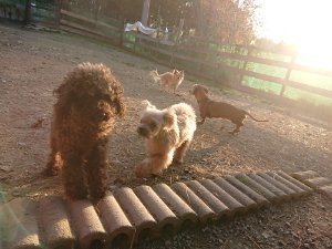 f:id:roukenhome-ann:20181111080931j:plain