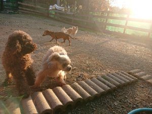 f:id:roukenhome-ann:20181111080934j:plain