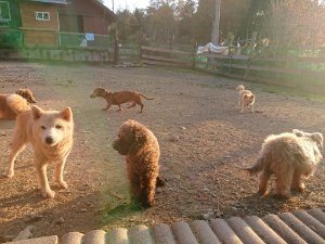 f:id:roukenhome-ann:20181111080942j:plain