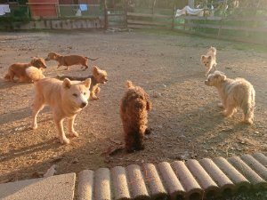 f:id:roukenhome-ann:20181111080949j:plain