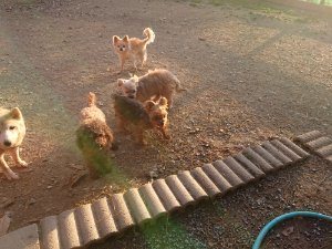f:id:roukenhome-ann:20181111080956j:plain