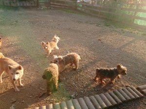 f:id:roukenhome-ann:20181111081000j:plain