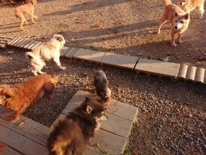 f:id:roukenhome-ann:20181111081005j:plain