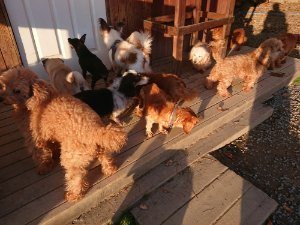 f:id:roukenhome-ann:20181111081013j:plain