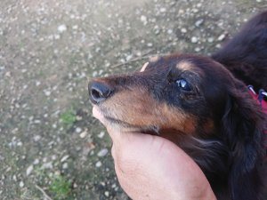 f:id:roukenhome-ann:20181111081042j:plain