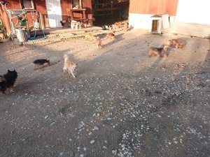 f:id:roukenhome-ann:20181111081050j:plain