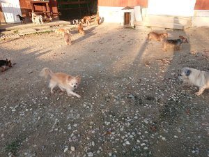 f:id:roukenhome-ann:20181111081054j:plain