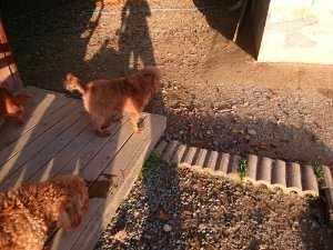 f:id:roukenhome-ann:20181111081131j:plain