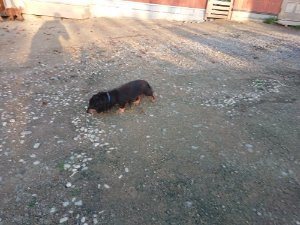 f:id:roukenhome-ann:20181111081152j:plain