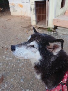 f:id:roukenhome-ann:20181111081207j:plain