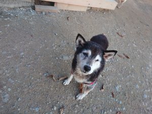 f:id:roukenhome-ann:20181111081212j:plain