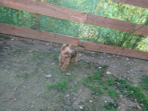 f:id:roukenhome-ann:20181111081216j:plain