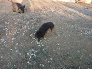 f:id:roukenhome-ann:20181111081220j:plain