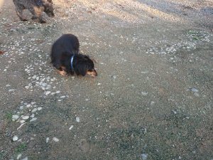 f:id:roukenhome-ann:20181111081225j:plain