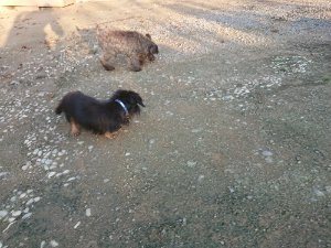 f:id:roukenhome-ann:20181111081232j:plain