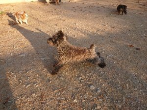 f:id:roukenhome-ann:20181111081243j:plain