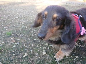 f:id:roukenhome-ann:20181111081251j:plain